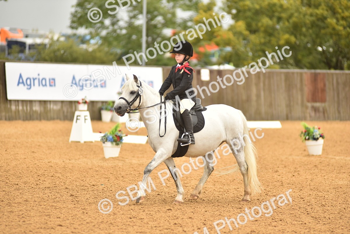 SBM_34717 - D26 & 27 Starter Test 1