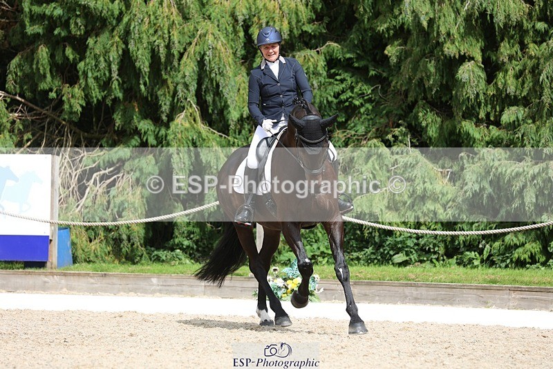 230812-152650-05134 - Cls 5 Novice Bronze 15.00 to End