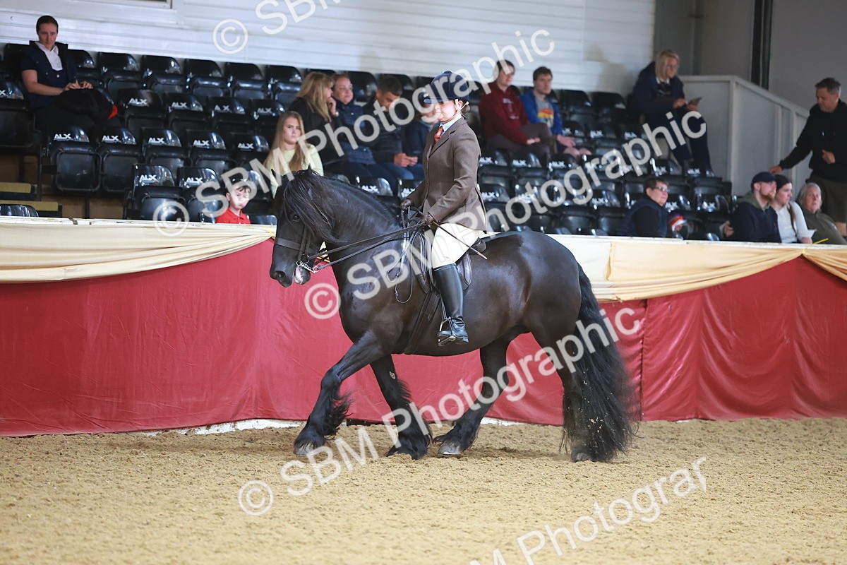 SBM_10638 - Class 103 - HOYS Veteran Qualifier - Ridden Pre Vet