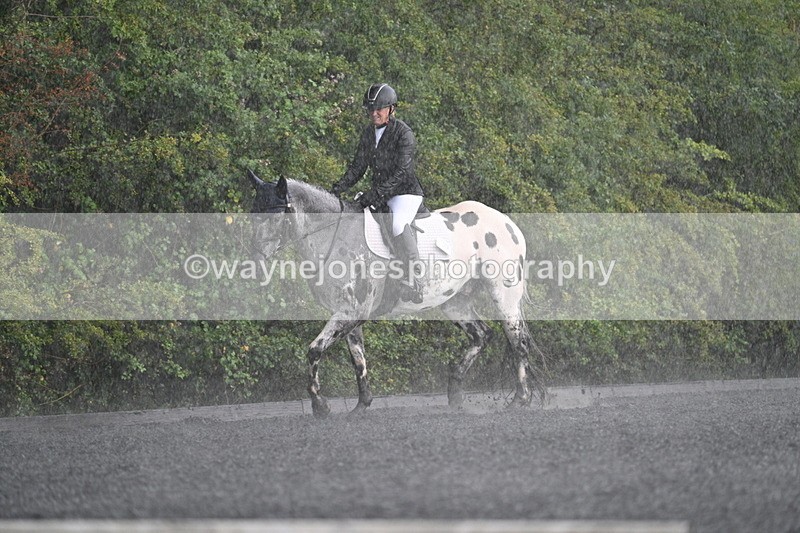 WJ7_8215 - Time 14:02 to 14:11