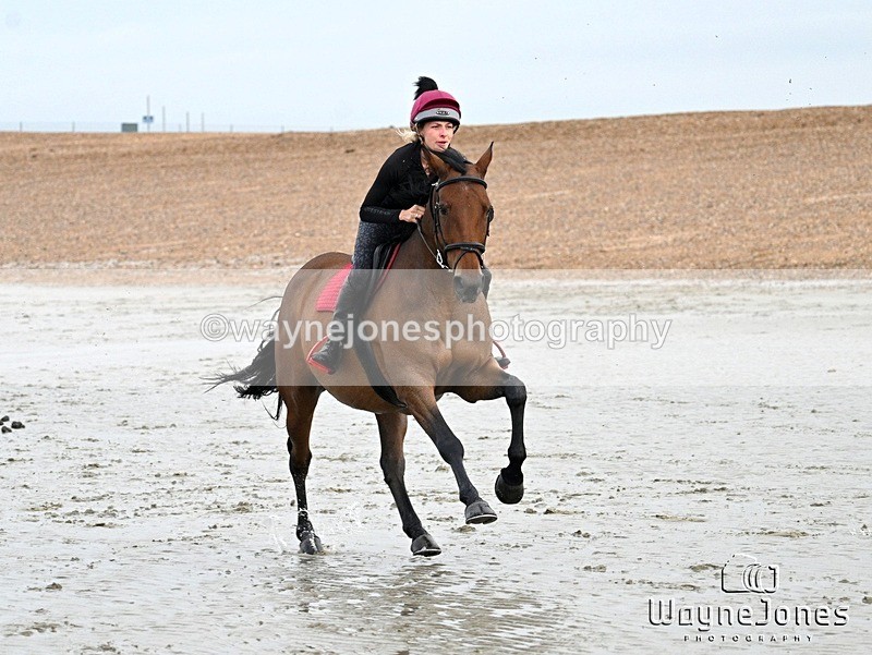 WJ7_9377 - Hayling Island Beach Shoot 22-09-24