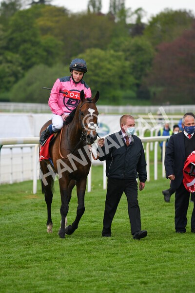 yr14052021r4-31 - Race 4 3.10pm The Matchbook Yorkshire Cup