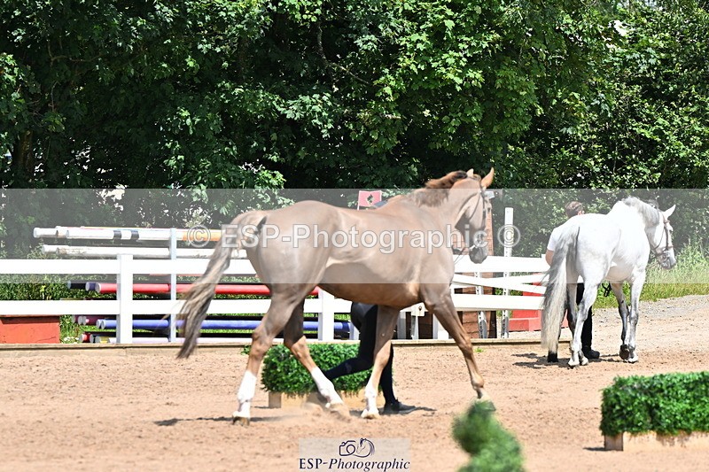 240718A-105311-01665 - Trot Up 1pm to 2pm