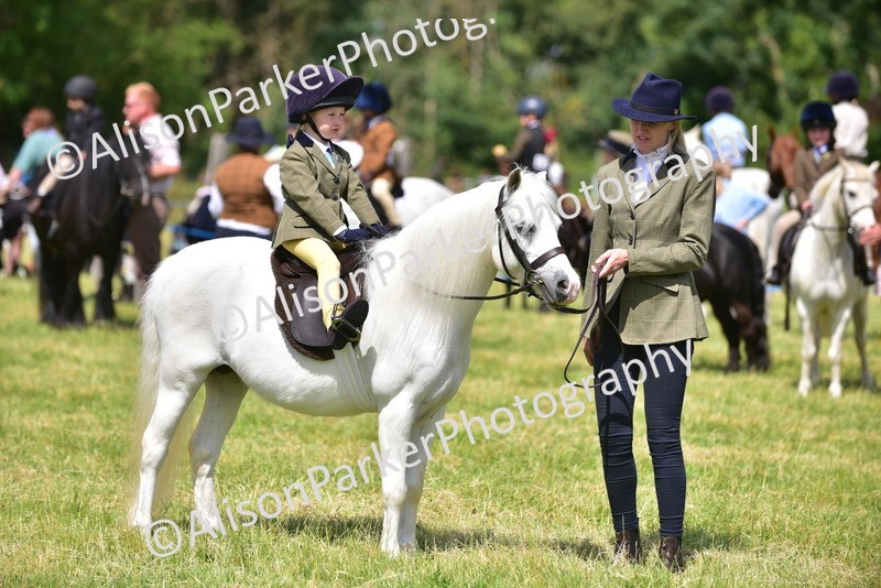 20260614-1236 - Class 11a - Lead Rein Pony (Unplaited)