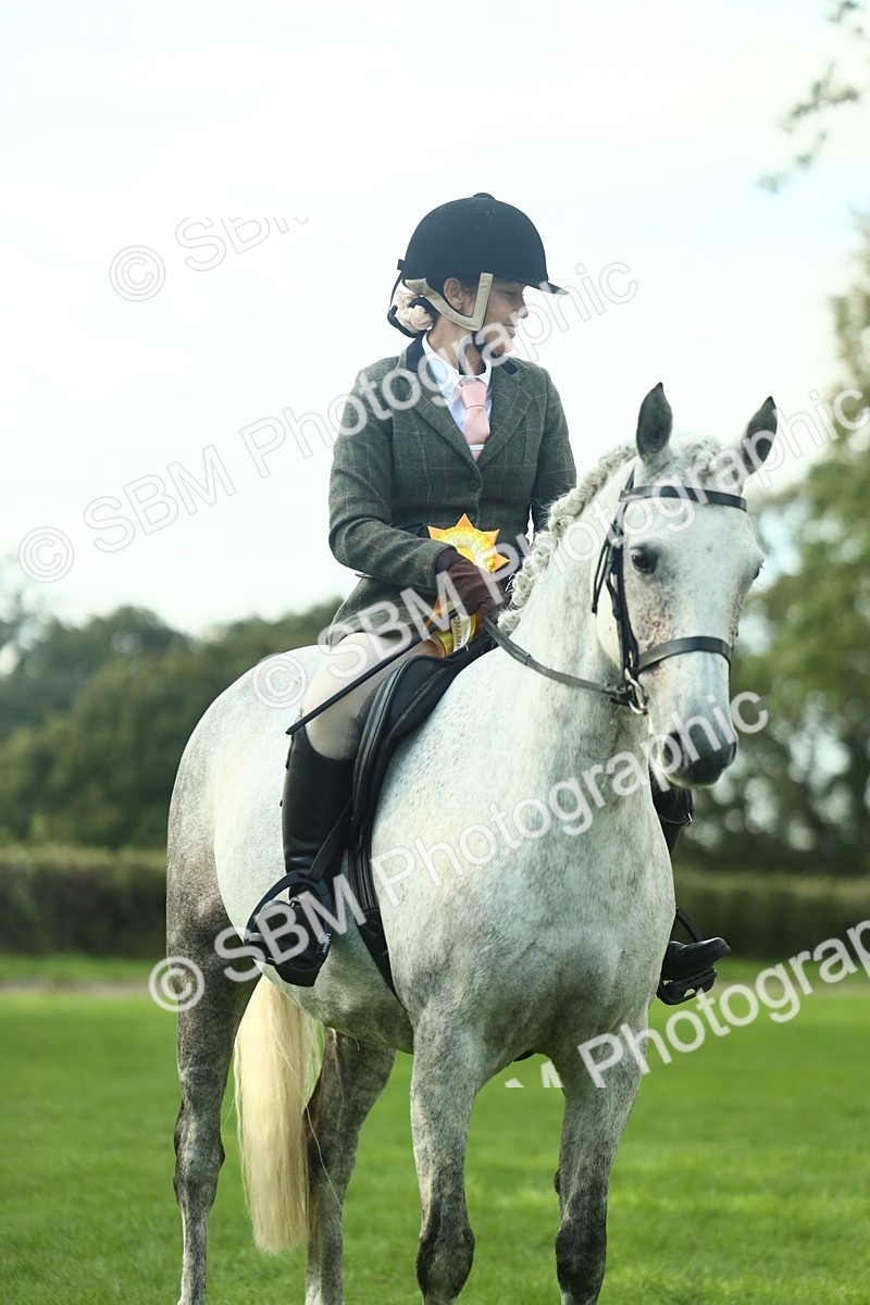 SBM_52235 - S33 - Working Hunter & Working Show Horse