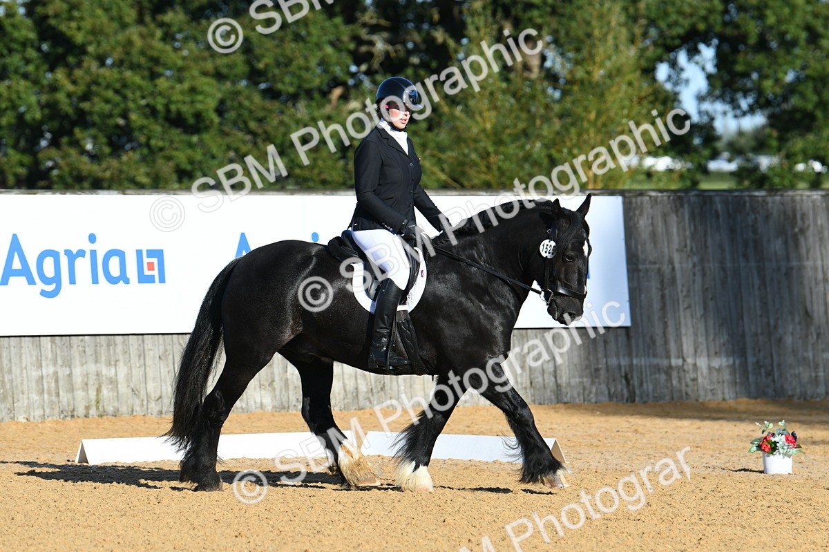 SBM_14497 - D4 - Small Tour Championship - Intro B