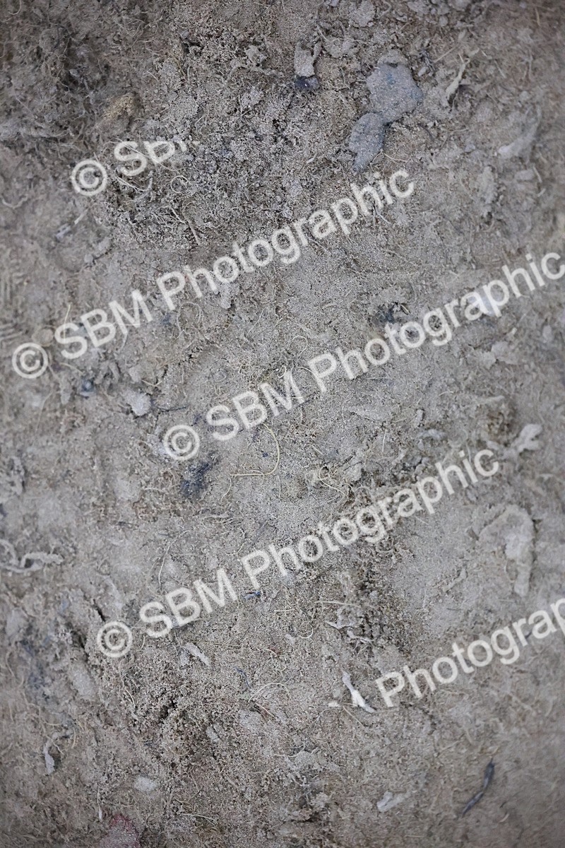 SBM_006335 - Evening Performance