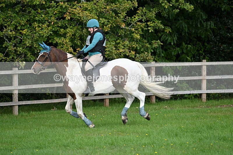 WJ7_3593 - 40cm Time 10:08 to 10:25