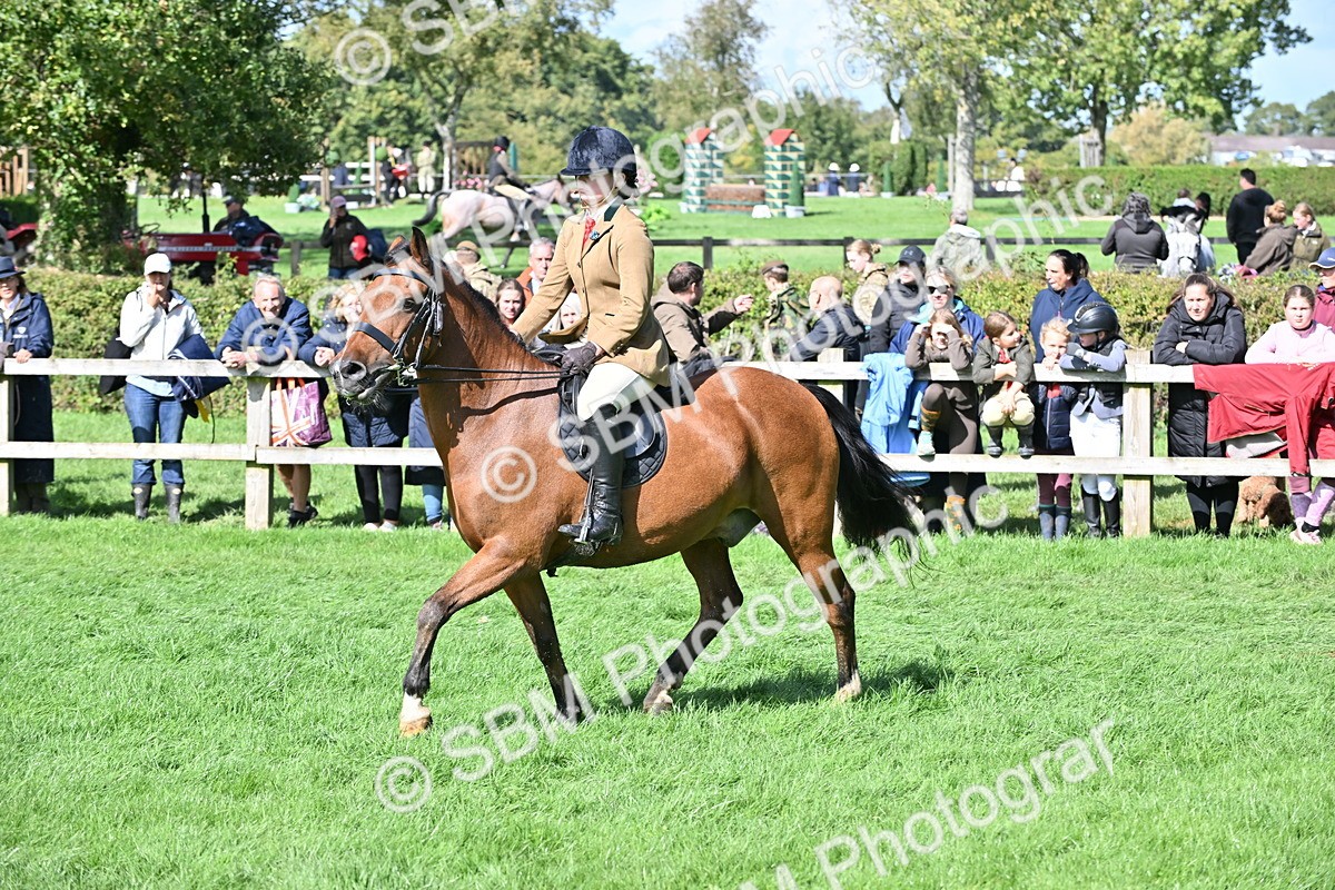 SBM_44585 - S13 - Pony Club Pony