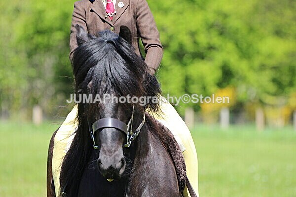 SIAL4359 - Ring 3 and 4