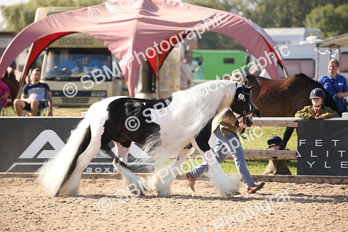 SBM_01481 - Class 15 IH Coloured