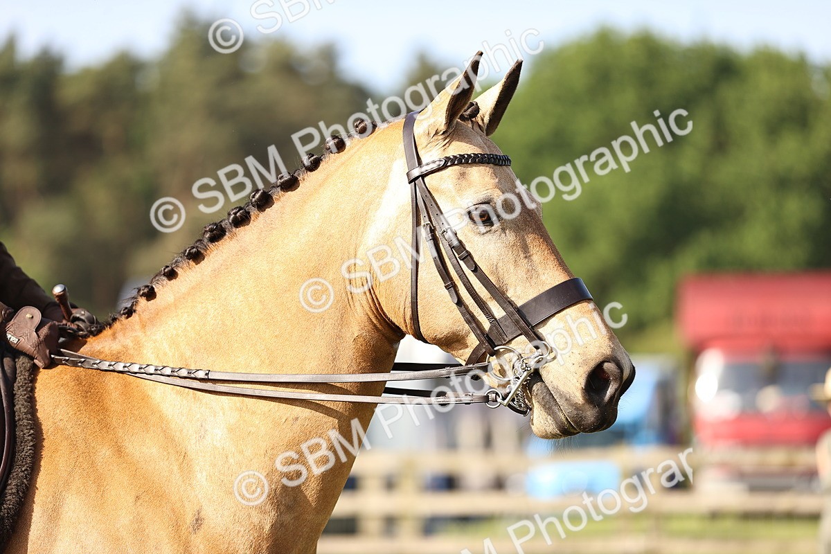 SBM_10684