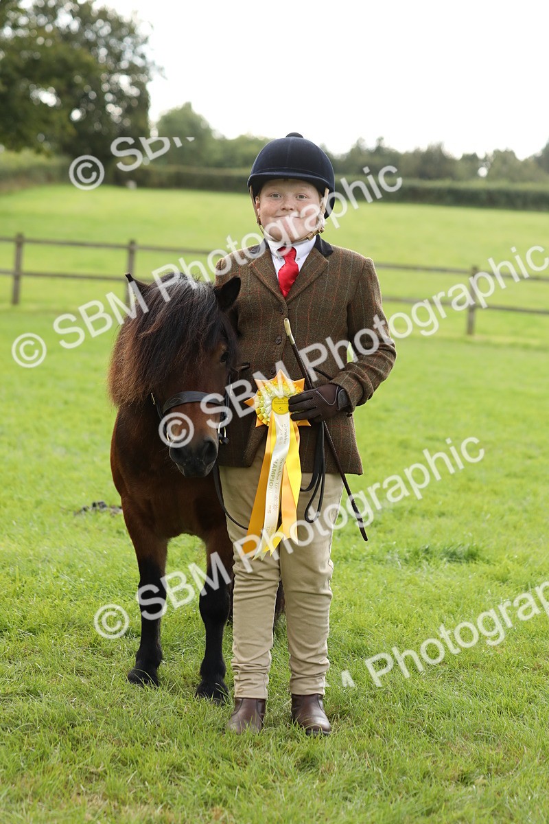 SBM_62866 - S46 - Mountain & Moorland In Hand Small Breeds
