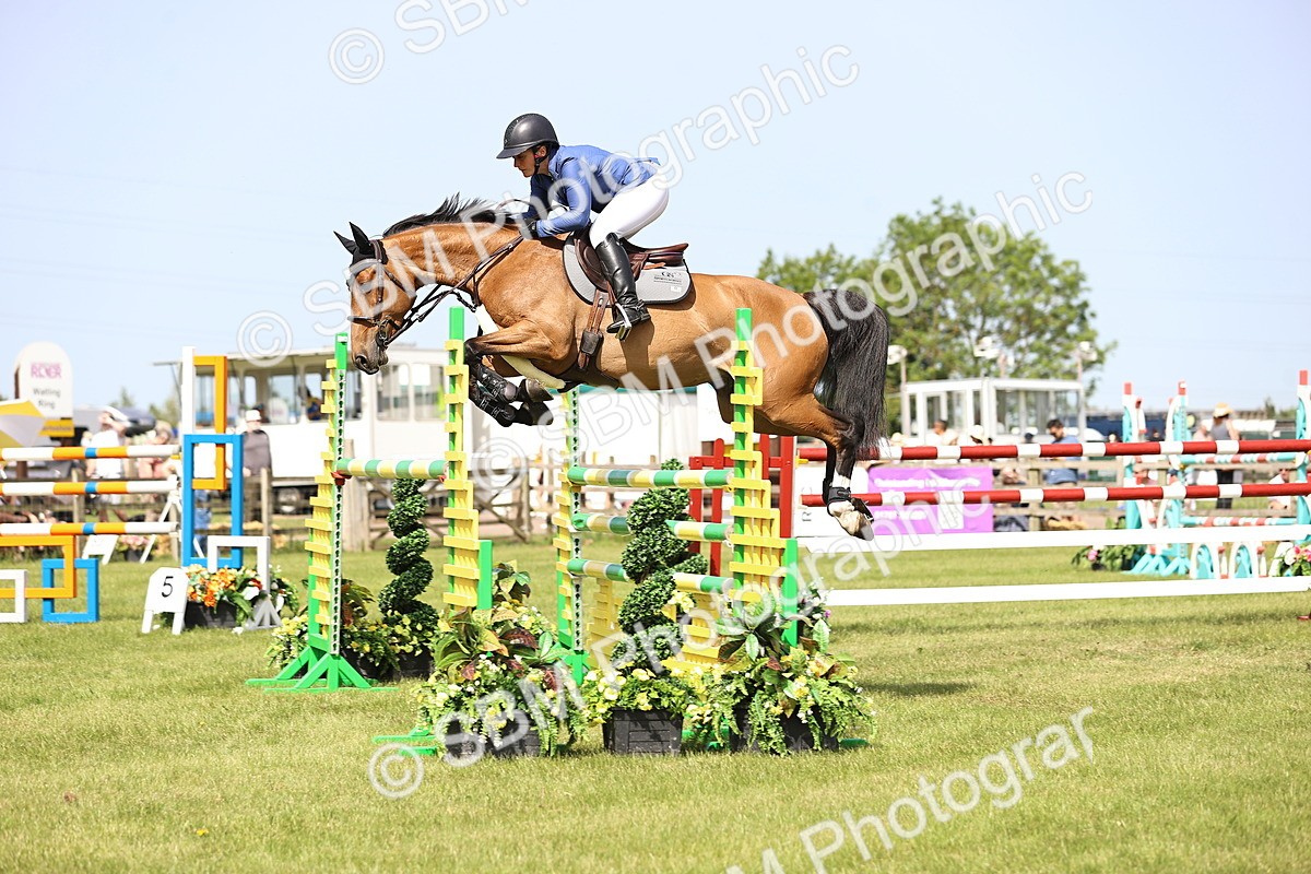 SBM_03035 - Class 201 - British Horse Feedds Speedi Beet HOYS Grade C