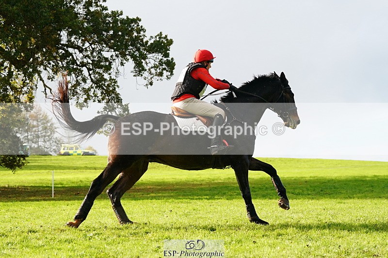 251025A-140436-20955 - F-431-Alison.Gill