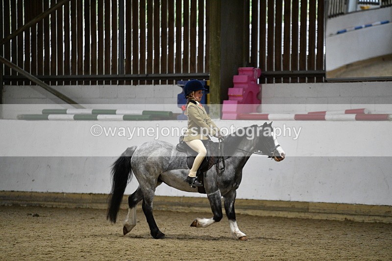 WJ5_8299 - Class 14 Novice Ridden/Rider