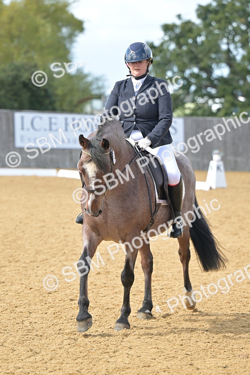 SBM_10926 - D3 - Small Tour Championship Intro 3