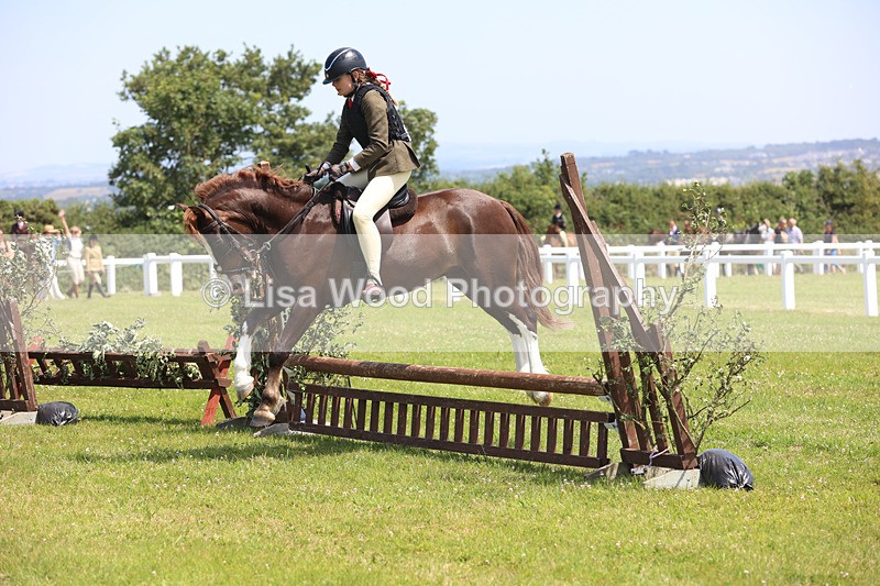 JPP_2406 - Class 21: Working Hunter 60cm