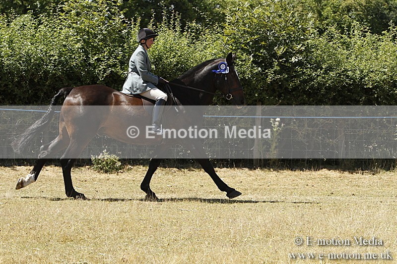 _BS_0884 - BVRC Show 2018 Ring 1