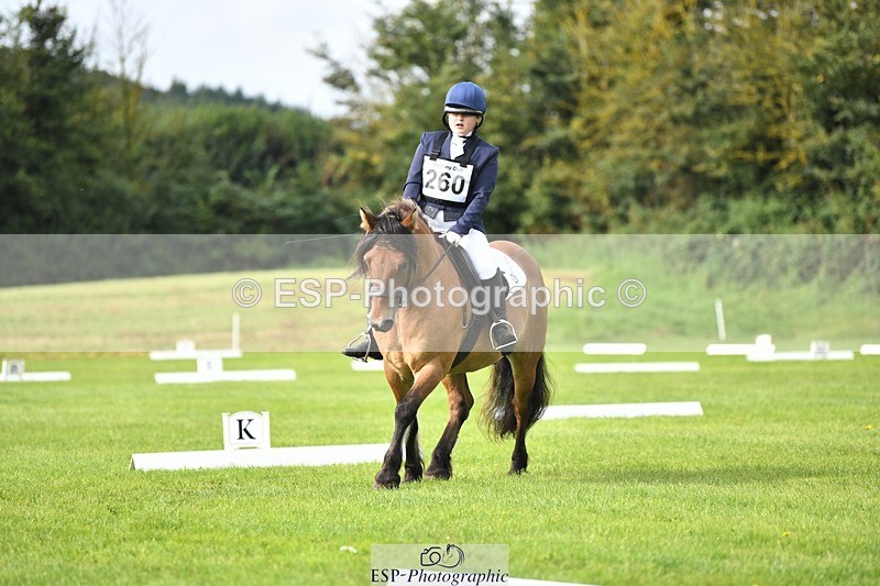 230826-100931-15384 - Sections C & D 10 to End