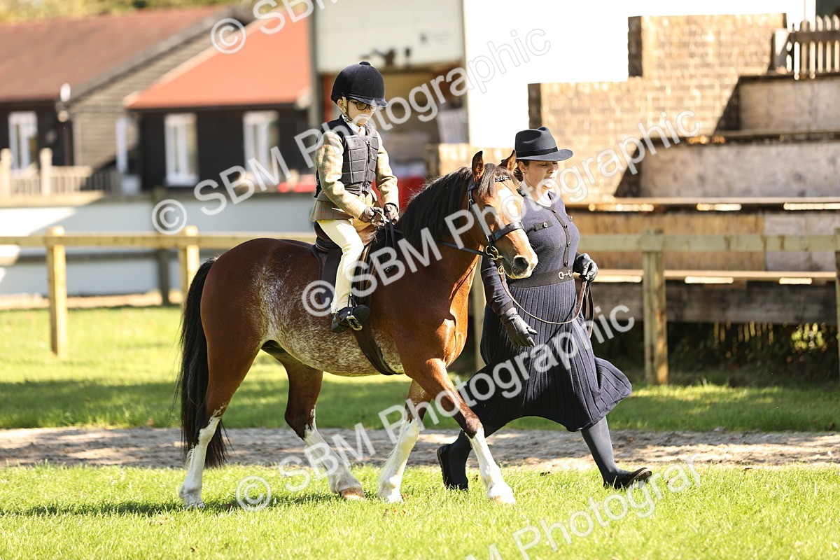 SBM_19280 - S3 - TSR Ridden Pony Showing