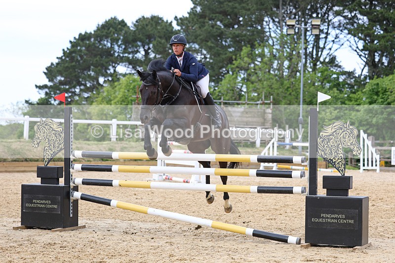 3E7A7513 - Class 8: Senior Foxhunter/1.20 open