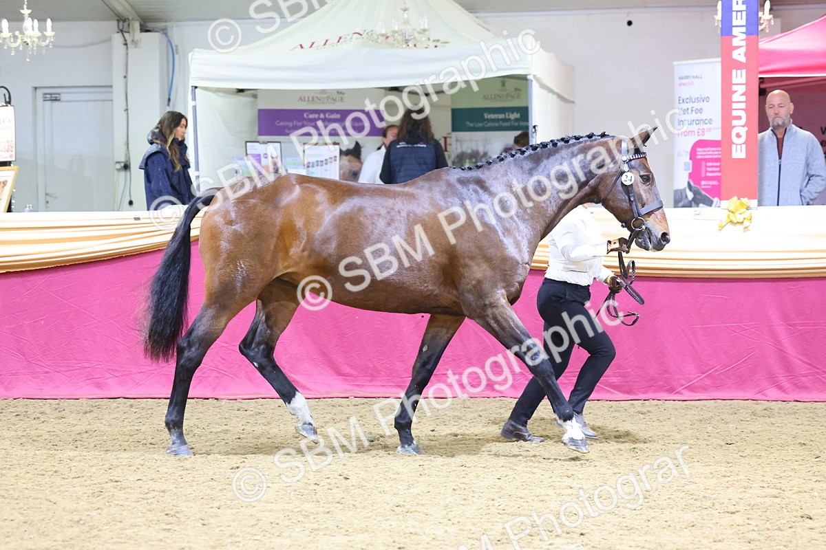SBM_21011 - Class 902 - Supreme Final IH Veteran