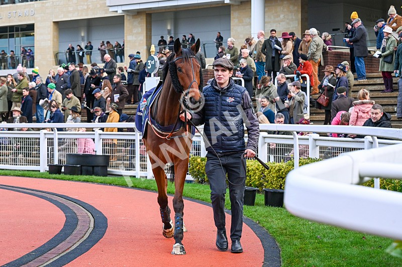 141224-Race 5-Issy DAiry-0719 - Race 5