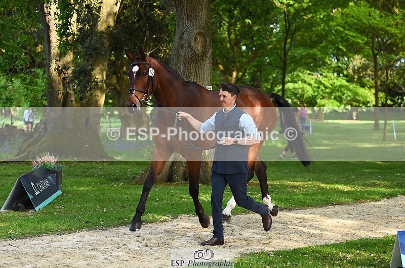 230524-172134-01462 - 175-MONBEG_EQUITY-Tom_McEwen-WEDTrotUp+DR