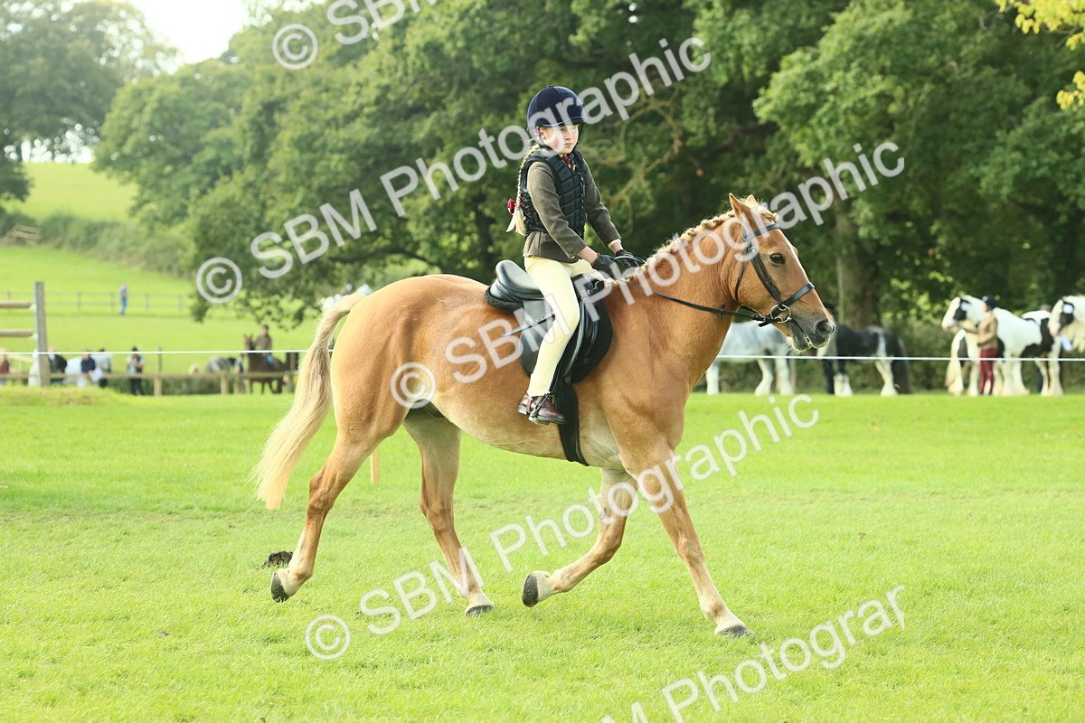 SBM_62421 - S62 - Foreign Breeds Ridden