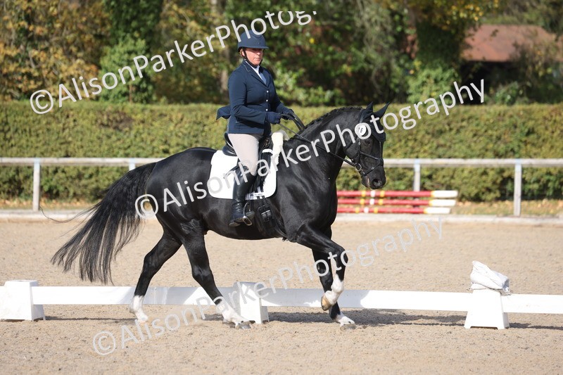20261010-0610 - Class 5 - Novice 1