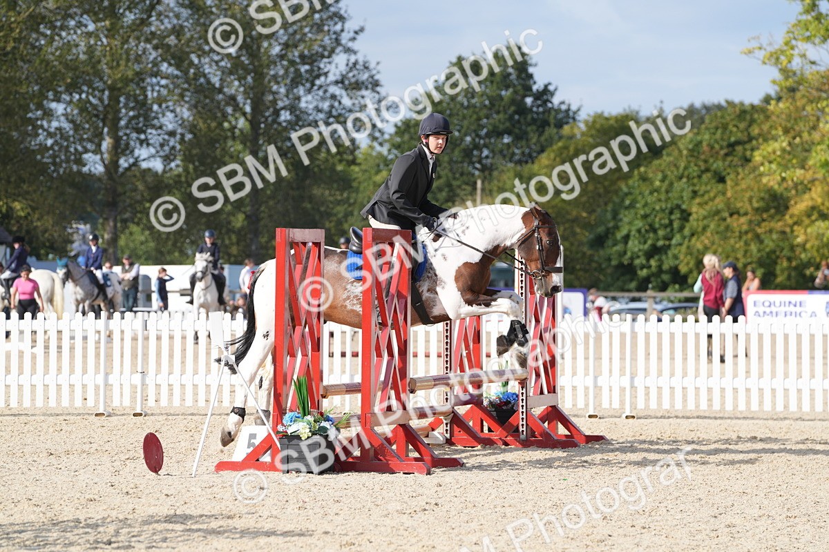 SBM_48783 - J22 - Junior Horse 65cm Championship