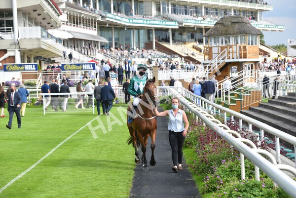 yr09072021r7-13 - Race 7 5.30pm William Hill Extra Place Races Stakes