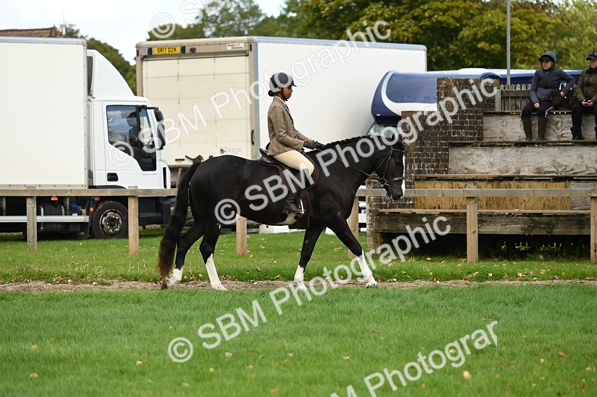 SBM_26301 - S6 - Novice & newcomer Ridden horse