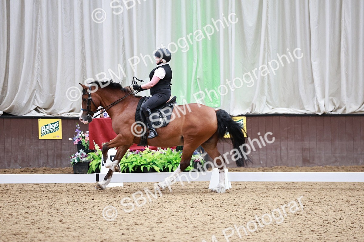 SBM_014362 - Class 7 - Ele FSM Bronze  13.24.14.04
