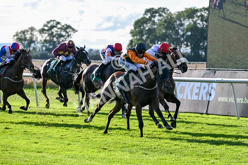 140926-Race 7-Forest Caper-7942 - Race 7 5.21pm Bowel Cancer Screening Programme Saves Lives Handicap