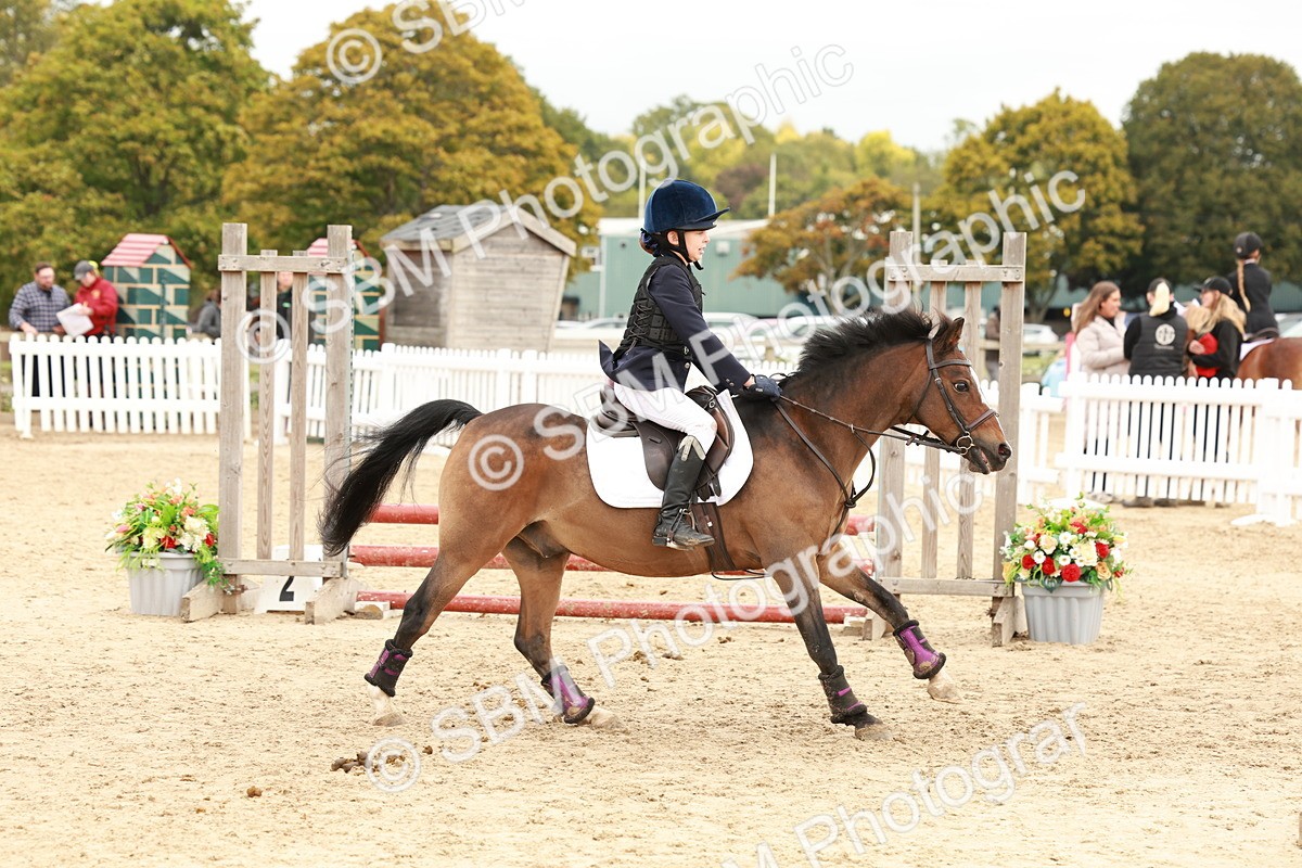 SBM_63709 - J12 - Junior Pony 55cm Championship