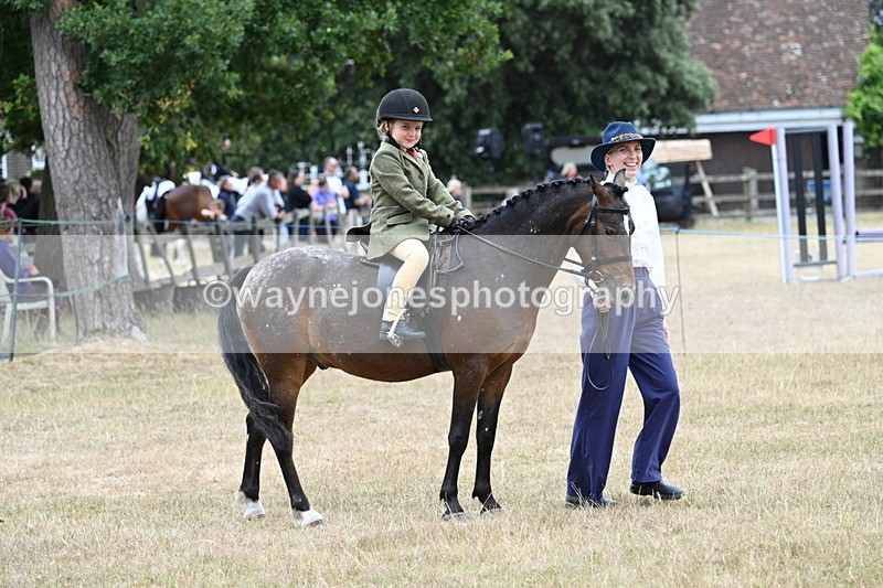 WJ7_0447 - Class 6 Ridden Mountain and Moorland