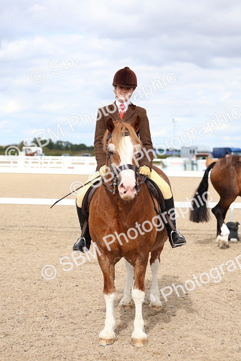 SBM_15826 - Class 314 - Family Horse - Pony