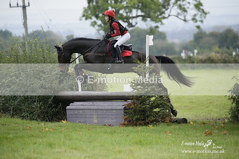  WWHT 171021 1099 - Open Novice (0.80m)  17/10/21