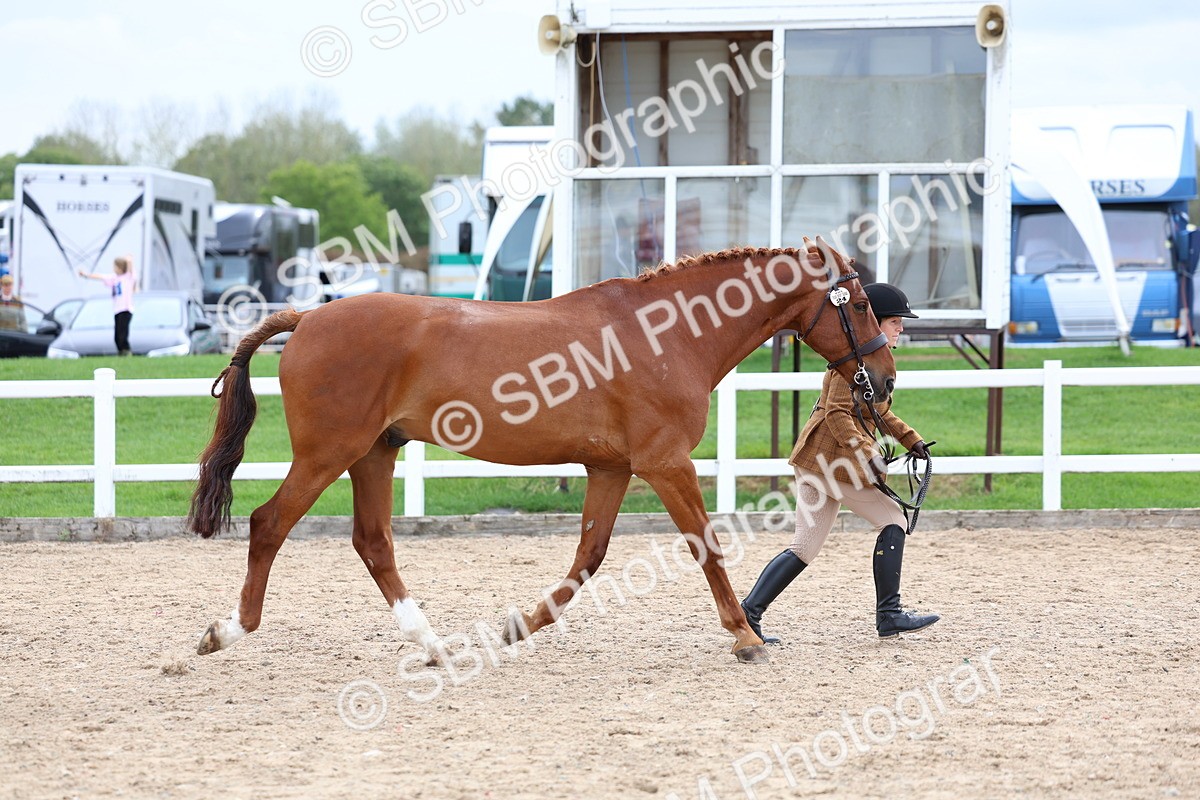 SBM_05771 - Class 28 - IH Veteran Horse