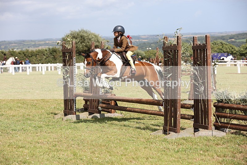 JPP_2152 - Class 19: Working Hunter 60cm