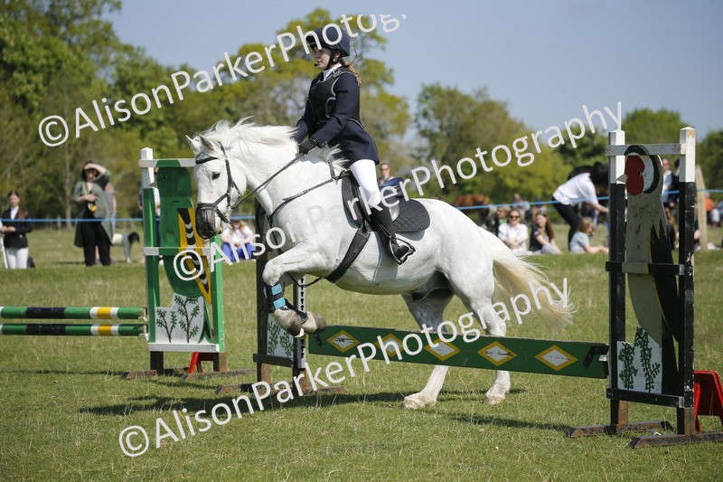 20250427-2191 - Class 13 - Novice Jumping 60cm