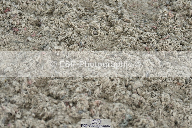 230721A-113044-05728 - Cls 18, 1 Star Silver 1.20m