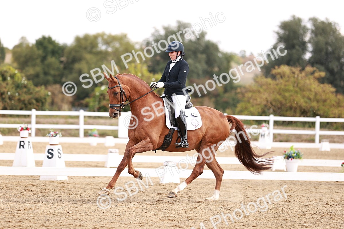 SBM_017687 - Class 11 - Advanced Medium 6