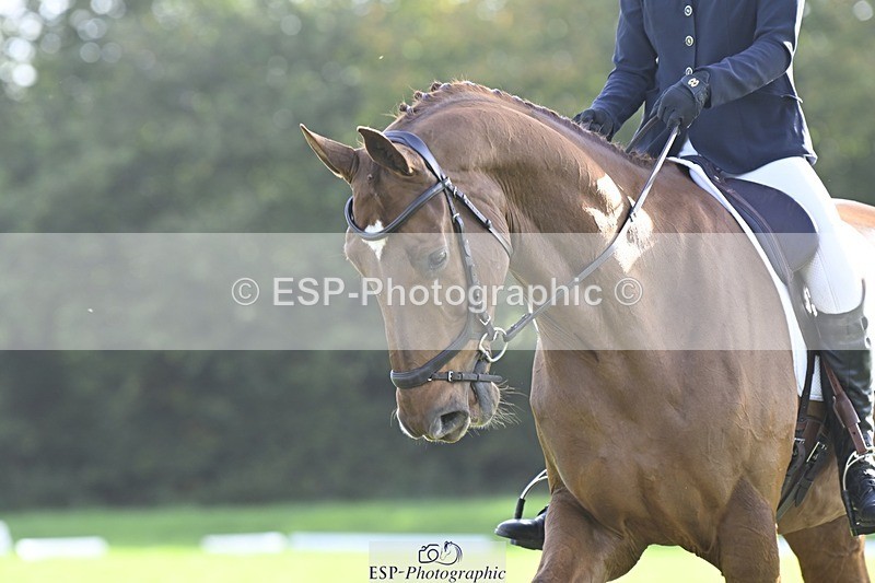 241025-151255-09757 - 591-Zennor.Harvey-GOODFELLA.GIO