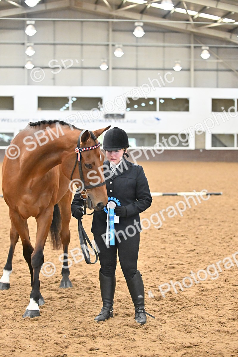 SBM_000159 - Class 6 - BSHA In Hand Racehorse to Show Horse