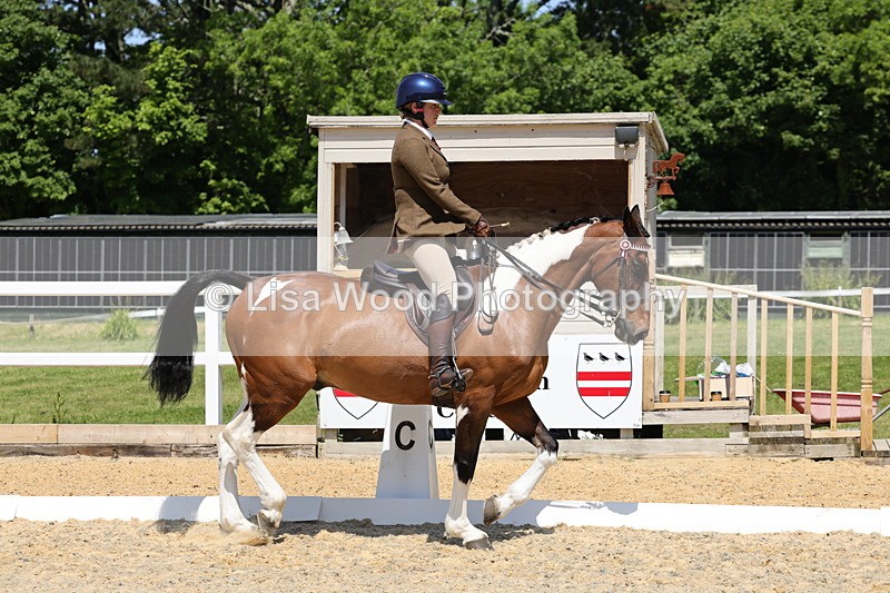 1X9A1814 - Class 12: Ridden Riding Horse/Hack