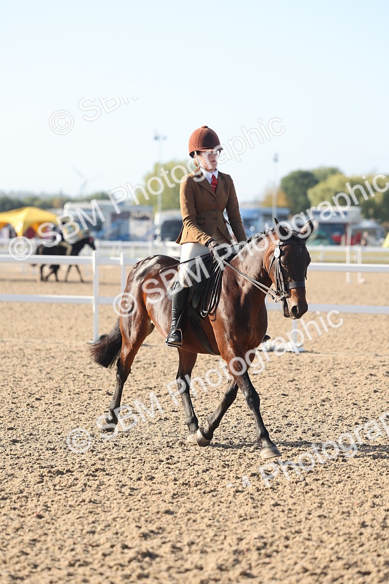 SBM_22122 - Class 801 - Ridden Veterans