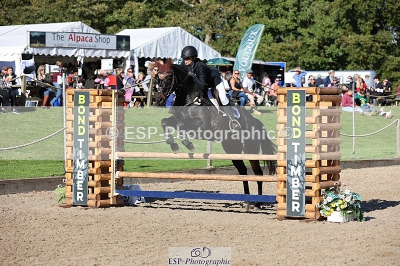 241027-112748-16790 - 463-Ilaria.Serra-FOXBURY.STORMBORN